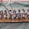 French 004 Bigorre