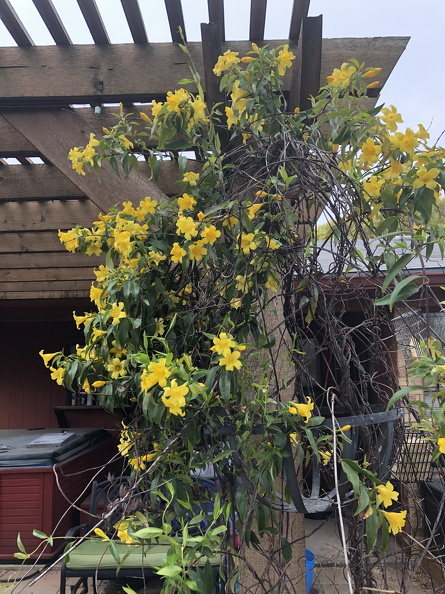 IMG_3025.jpeg